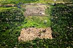 Desmatamento na Amazônia<br />© Greg Armfield / WWF” border=”0″ align=”left” hspace=”4″ vspace=”2″></p>
<p><em>Por Clarissa Presotti </em></p>
<p>Aproveitando mais uma vez do cenário político conturbado, o plenário da Câmara aprovou nesta madrugada as oito emendas à Medida Provisória (MP) 759, que estabelece regras para regularização de terras da União ocupadas na Amazônia Legal e disciplina novos procedimentos para regularização fundiária urbana. A norma segue para a sanção presidencial.</p>
<p>Uma das principais bandeiras da bancada ruralista, a ‘MP da grilagem’ foi aprovada na forma do projeto de lei de conversão do relator (PLV 12/2017), senador Romero Jucá (PMDB-RR), que promove profundas alterações em leis que resguardam políticas públicas ao direito de acesso à terra.</p>
<p>A MP já tinha sido enviada à sanção pelo Senado após aprovação naquela Casa, mas, depois da concessão de uma liminar pelo ministro do Supremo Tribunal Federal (STF) Luís Roberto Barroso no último dia 20, a medida teve de retornar à Câmara.</p>
<p>Barroso reconheceu a violação constitucional e regimental pelo Senado, pelo fato do texto enviado à sanção presencial ser diferente do votado pela Casa revisora das leis. A liminar foi concedida a 11 parlamentares do PT que questionaram a aprovação pelo plenário do Senado, de emendas consideradas pelo relator Jucá como de redação (destinadas apenas a corrigir vício de linguagem ou incorreção de técnica legislativa).</p>
<p>O ministro concordou que ao menos três delas alteram o mérito do texto aprovado pela Câmara e determinou nova votação pelos deputados, suspendendo seu envio à Presidência da República para sanção.</p>
<p>A votação desta madrugada evidenciou, mais uma vez, o contexto de crise do governo e a pressa da bancada ruralista, majoritária no Congresso, em aprovar rapidamente a medida. Integrantes da base de apoio ao governo, os deputados ligados à Frente Parlamentar Agropecuária (FPA) correspondem a 207 deputados de um total de 513.</p>
<p>A aprovação das emendas repetiu o contexto de turbulência política da votação na sessão deliberativa do último dia 25 de maio, quando o plenário da Câmara aprovou a medida. Na ocasião, os deputados de oposição ao governo se retiraram da sessão em protesto contra o decreto do governo autorizando o emprego das Forças Armadas para Garantia da Lei e da Ordem (GLO).</p>
<p>Sem oposição, os parlamentares da base de apoio ao governo votaram, na sessão de duas horas de duração e sem debate, seis MPs. Três delas causam altos impactos para populações do campo e ameaçam a biodiversidade brasileira, como é caso da 759.</p>
<p>Essa medida permite, por exemplo, regularizar áreas contínuas maiores que um módulo fiscal e até 2,5 mil hectares (ha), e que ocupantes anteriores a julho de 2008 participem do processo. Por causa disso, a norma abre caminho para a legalização massiva de áreas griladas, o agravamento da concentração fundiária e dos conflitos de terra.</p>
<p>Além disso, a norma faz mudanças estruturais no processo de seleção para reforma agrária e no Terra Legal (Lei 11.952/2009), que trata da regularização fundiária das ocupações incidentes em terras situadas em áreas da União, no âmbito da Amazônia Legal.</p>
<p>Estima-se que, só na Amazônia, poderá ser disponibilizada à empreendimentos privados, por valores bem abaixo do mercado, cerca de 40 milhões de hectares de terras públicas – o equivalente a duas vezes ao Estado do Paraná.</p>
<p><strong>Anistias </strong></p>
<p>A MP 759 tem outro agravante. O texto aprovado exclui exigências ambientais que existiam para a regularização fundiária, nem mesmo para coibir o desmatamento na Amazônia – um dos principais argumentos para instituir o Terra Legal.</p>
<p>A nova redação possibilita a transferência de terras públicas sem que o posseiro se comprometa a recuperar seu passivo ambiental. Na prática, anistia as ocupações irregulares, além de permitir a venda, sem qualquer critério de interesse social ou coletivo, de imóveis patrimônio da União.</p>
<p>A legislação atual prevê que o posseiro pode perder o título se a Área de Preservação Permanente (APP) ou a Reserva Legal for desmatada num prazo de dez anos. A MP original já flexibilizava essa restrição, ao permitir que o ocupante pudesse assinar um Termo de Ajustamento de Conduta (TAC).</p>
<p>O texto de Jucá, aprovado na Comissão Mista que analisou a matéria, foi além e eliminou todas essas condicionantes ambientais. Agora a única obrigatoriedade é o Cadastramento Ambiental Rural (CAR) da área.</p>
<p><strong>Áreas urbanas </strong></p>
<p>Uma das emendas aprovadas pela Câmara permite ainda a instituição de condomínio urbano simples para qualquer imóvel que tenha nele construções de casas ou cômodos e não apenas para aqueles que são objetos de Regularização Fundiária Urbana (Reurb).</p>
<p>A redação que saiu da comissão mista era mais restritiva, pois fazia referência apenas a imóveis irregulares que farão parte do Reurb. Técnicos do Ministério do Meio Ambiente (MMA) avaliam negativamente a medida por todo retrocesso ambiental em jogo. Para eles, será ainda mais problemático o efeito nas áreas urbanas, pois haverá legalização de diversas residências e condomínios irregulares.</p>
<p>Além da transformação de qualquer aglomerado rural em urbano – o que significará a privatização dos espaços públicos, causando mais danos ambientais.</p>
<p><strong>Questionamentos </strong></p>
<p>Desde a edição dessa MP pelo presidente Temer, no final de 2016, o seu teor tem sido alvo de questionamentos, principalmente por movimentos sociais do campo e da cidade.</p>
<p>As entidades avaliam que a nova lei aumentará a concentração de terras, incentivando a grilagem, conflitos no campo e o desmatamento. Além de não trazer uma ampla e estrutural reforma agrária no país, pode comprometer a legislação que avançou ao longo das últimas décadas.</p>
<p>O WWF-Brasil se posiciona contrário a essa medida e considera que esse não seria o melhor momento para realizar mudanças estruturais no ordenamento territorial, principalmente da Amazônia. Antes disso, é necessário ordenar o território e destinar as terras públicas a pequenos produtores rurais, assentados, povos indígenas e populações tradicionais da região para garantir as salvaguardas ambientais, institucionais e de cidadania.</p>
<p>Além disso, essa medida faz parte da ofensiva da bancada ruralista do Congresso com o objetivo de atender ao mercado de terras, institucionalizando a grilagem em grandes áreas, inclusive daquelas que até pouco tempo estavam protegidas por unidades de conservação integral, como o Parque e a Floresta Nacional de Jamanxim, no Pará, que estão prestes a serem reduzidos pelo Congresso (leia mais).</p>
<p>Embora a MP já tenha perdido a validade no último dia 1º de junho, seu texto original permanece em vigor até o dia 1º de julho, prazo dado por ele para a Câmara analisar as emendas.</p></div>
<div class=